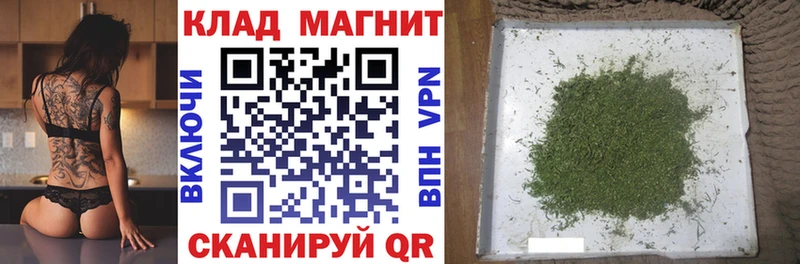 APVP Петропавловск-Камчатский