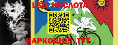 винт Донецк