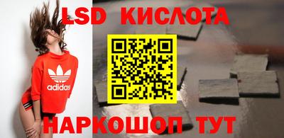 винт Донецк