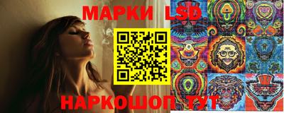 винт Донецк