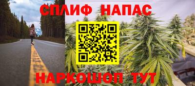 винт Донецк