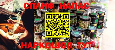 spice Дубна
