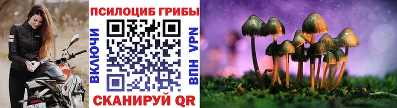 Галлюциногенные грибы GOLDEN TEACHER  Петропавловск-Камчатский 
