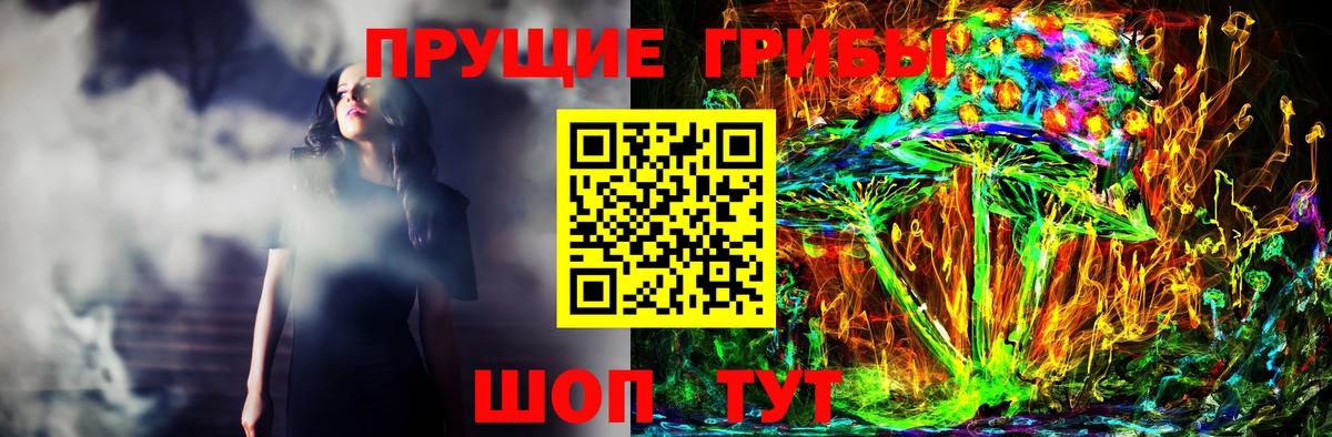 Псилоцибиновые грибы Psilocybine cubensis Петропавловск-Камчатский