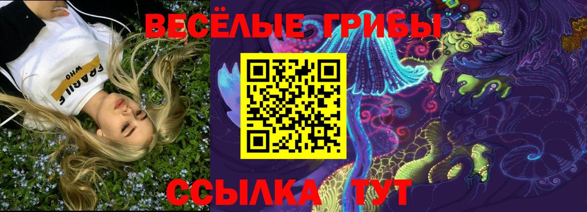 Галлюциногенные грибы MAGIC MUSHROOMS  Петропавловск-Камчатский  Псилоцибиновые грибы ЛСД 