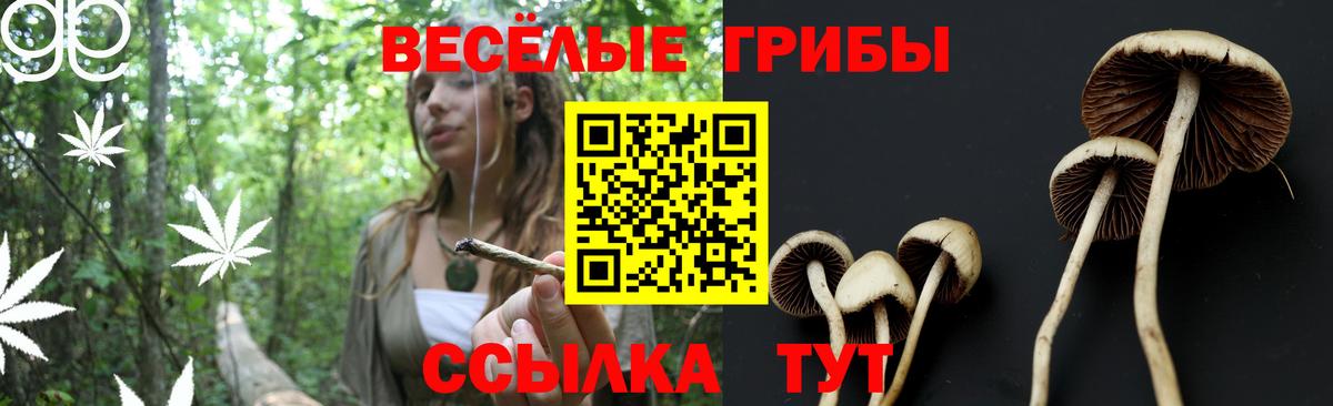 Псилоцибиновые грибы GOLDEN TEACHER  Галлюциногенные грибы MAGIC MUSHROOMS  Петропавловск-Камчатский  Вход с VPN 