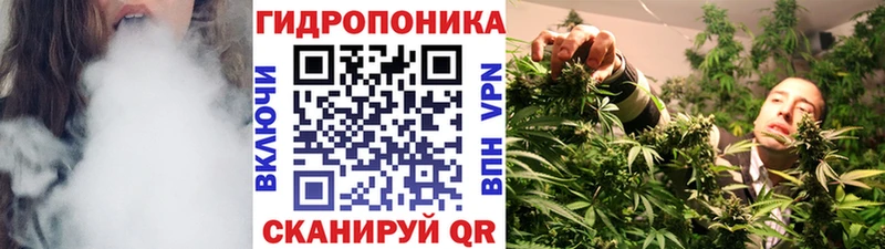 Марихуана тримм  OMG онион  Петропавловск-Камчатский 